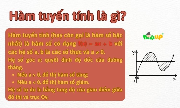 Khái niệm cơ bản về hàm tuyến tính
