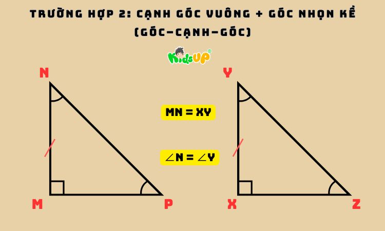 Hai tam giác vuông bằng nhau nếu có một cạnh góc vuông và một góc nhọn kề cạnh đó tương ứng bằng nhau