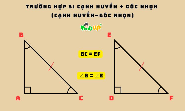 Cạnh huyền và một góc nhọn tương ứng bằng nhau là tạo ra được 2 tam giác vuông bằng nhau
