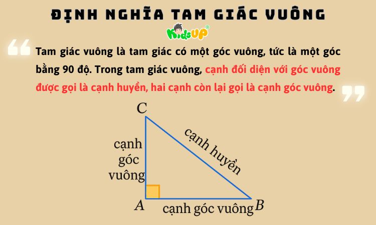 Hiếu đúng về tam giác vuông