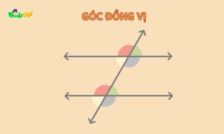 Áp dụng kiến thức góc đồng vị để chứng minh hai đường thẳng song song