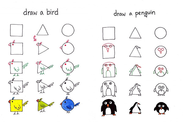 Cách vẽ chim và chim cánh cụt