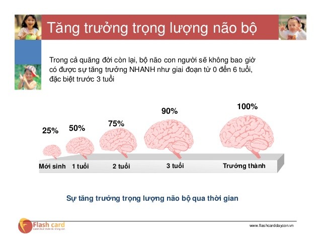 Tăng trưởng trọng lượng não bộ của trẻ dưới 6 tuổi