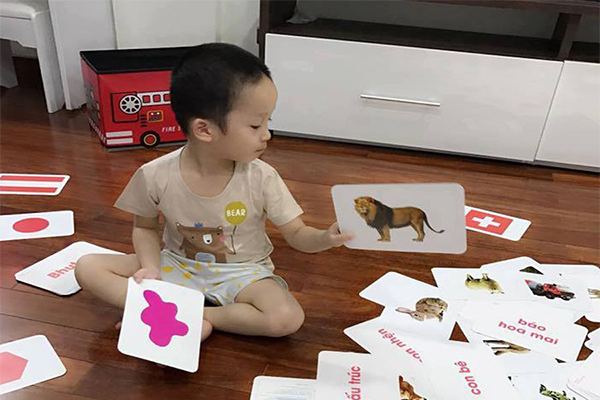 Học động vật qua thẻ Flashcard