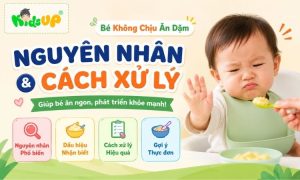 nguyên nhân và cách xử lý khi bé không chịu ăn dặm