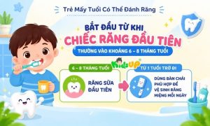 ava trẻ mấy tuổi có thể đánh răng