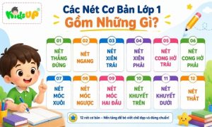 các nét cơ bản lớp 1