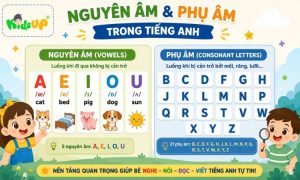 nguyên âm và phụ âm trong tiếng anh