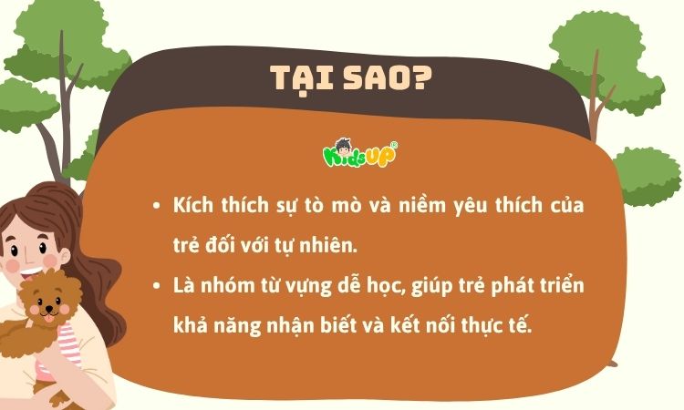 Lý do trẻ nên học từ vựng tiếng Anh về động vật