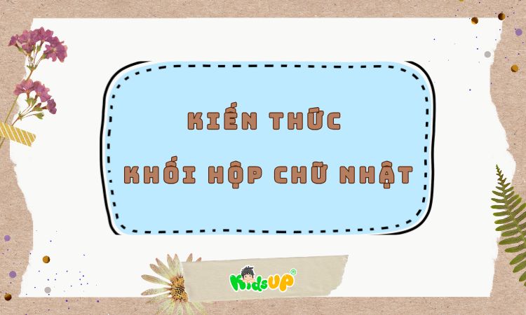 khối hộp chữ nhật