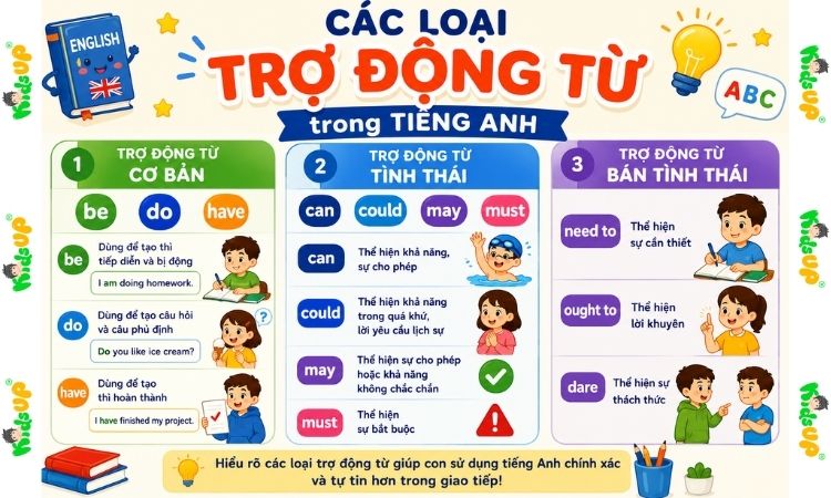 Các loại trợ động từ phổ biến