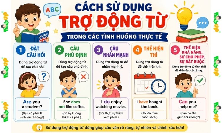 Cách sử dụng trợ động từ