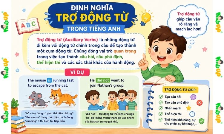 Hiểu đúng về trợ động từ