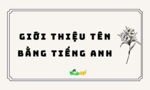 giới thiệu tên bằng tiếng Anh