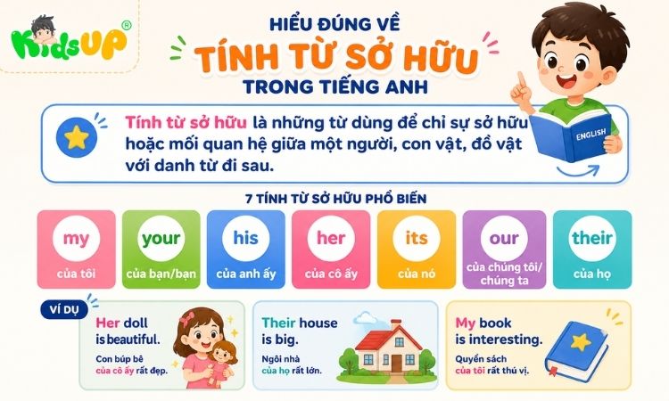 Hiểu đúng về tính từ sở hữu trong tiếng Anh
