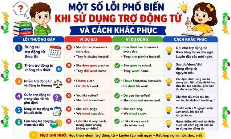 Một số lỗi phổ biến khi sử dụng trợ động từ