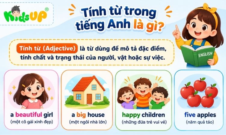 Hiểu đúng về tính từ trong tiếng Anh