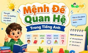 ava mệnh đề quan hệ trong tiếng anh