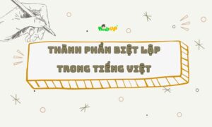 các thành phần biệt lập