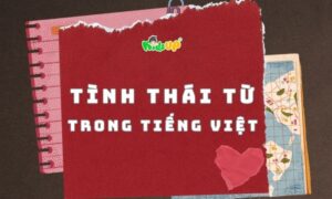 tình thái từ trong tiếng việt