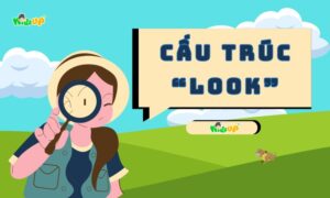 Cấu trúc Look