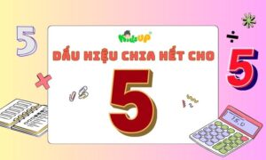 dấu hiệu chia hết cho 5