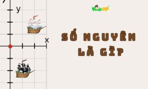 số nguyên là gì