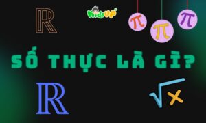 số thực là gì
