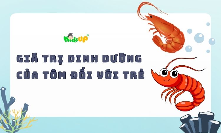 giá trị dinh dưỡng của tôm đối với trẻ