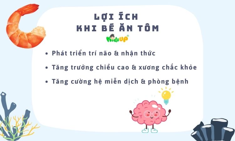 3 lợi ích của tôm đối với trẻ nhỏ