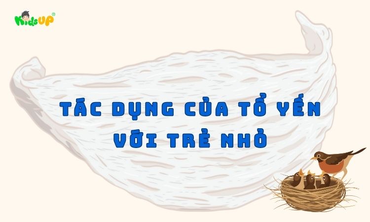 tác dụng của tổ yến với trẻ nhỏ