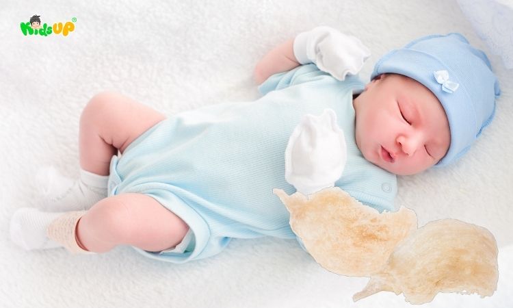 Bé sơ sinh có thể là ăn được 1 lượng tổ yến vừa đủ