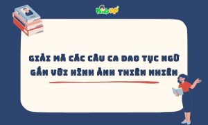 giải mã các câu ca dao tục ngữ Việt Nam