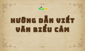 hướng dẫn viết văn biểu cảm