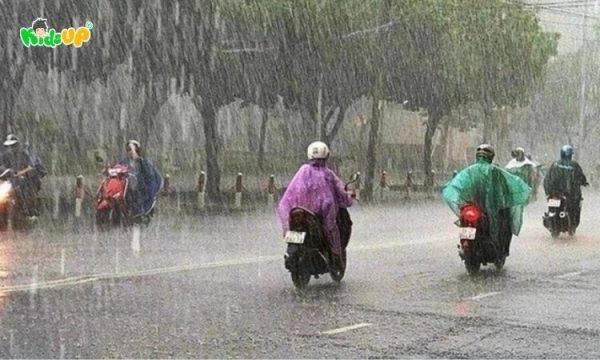 Mưa là gì? Hành trình sinh ra mưa và các loại mưa