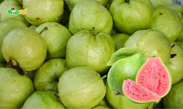Ổi đỏ được mệnh danh là vua của vitamin C tự nhiên