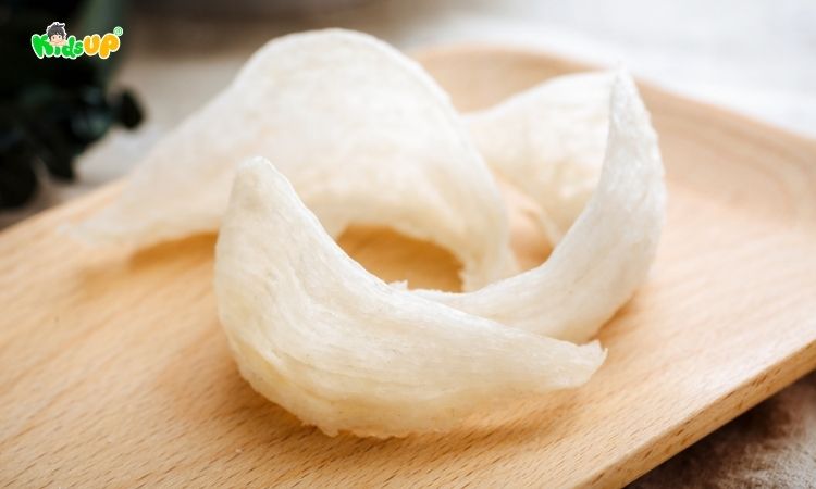 Tổ yến được làm từ gì?