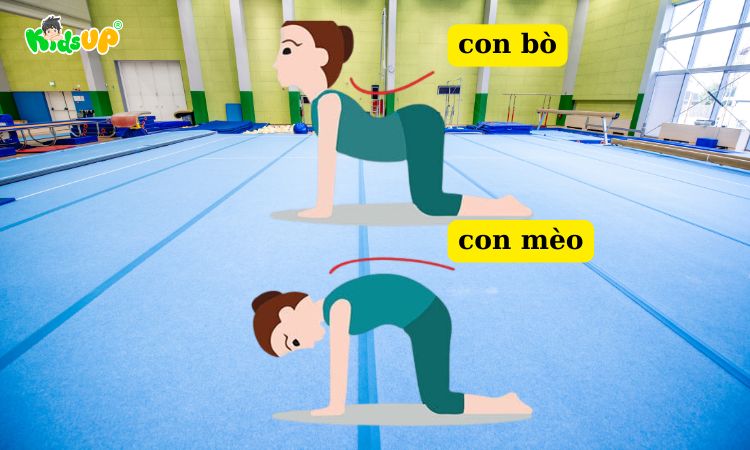 Tư thế con mèo và con bò