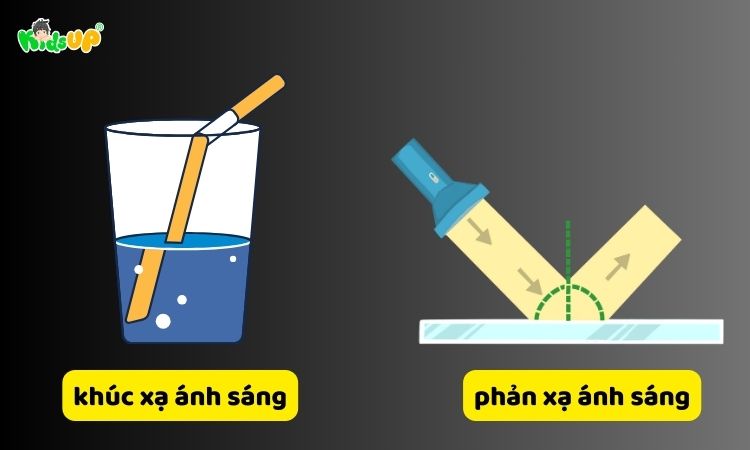 Khúc xạ ánh sáng và phản xạ ánh sáng