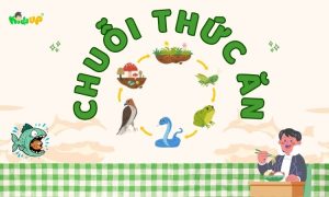 chuỗi thức ăn là gì
