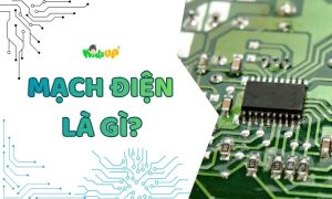 mạch điện là gì