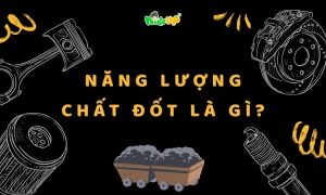 năng lượng chất đốt