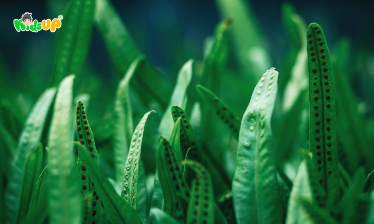 Những câu hỏi thường gặp