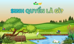 sinh quyển là gì