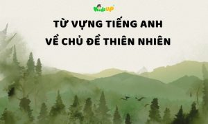 từ vựng tiếng anh chủ đề thiên nhiên