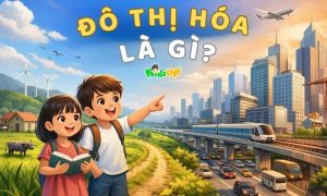 đô thị hóa là gì
