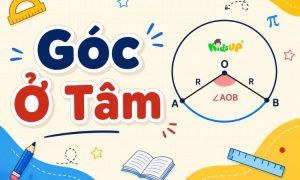 góc ở tâm