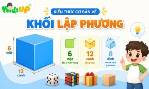 kiến thức cơ bản về khối lập phương
