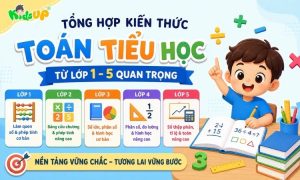 tổng hợp kiến thức toán tiểu học